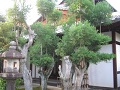Kyoto Ginkakuji